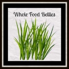 Transient Tuesdays: From Little Things Whole Food Bellies