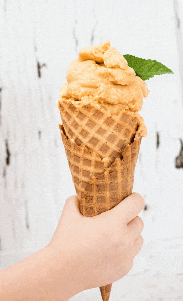 No Churn Homemade Peach Ice Cream