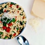 Creamy Parmesan and Vegetable Orzo