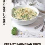 Creamy parmesan risoni recipe