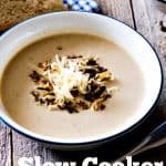 Slow Cooker Potato Leek and Cheddar Soup