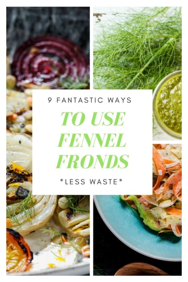 What to do with Fennel Fronds 10 Great Recipes Whole Food Bellies