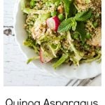 Close up shot of Quinoa Radish Pea Shaved Asparagus Salad in a white bowl