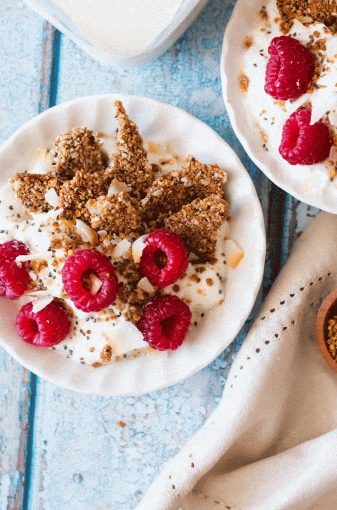 chia oat squares