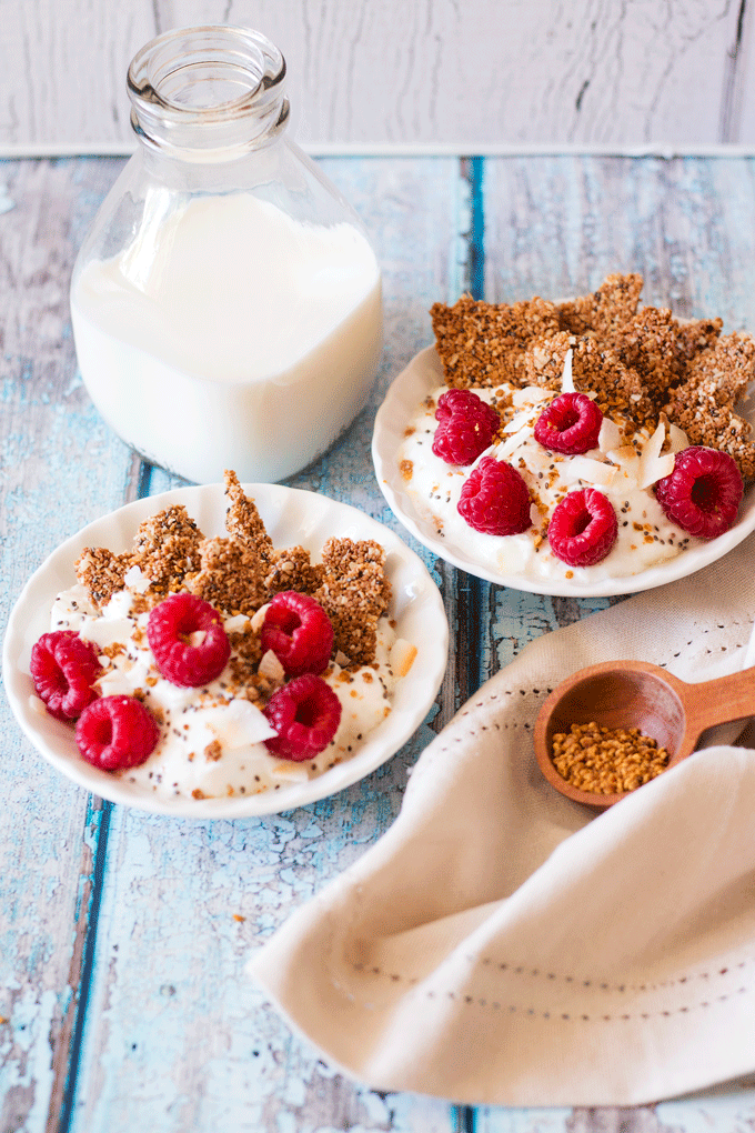 Coconut Chia Breakfast Oatmeal bites in white bowls of yoghurt topped with raspberries