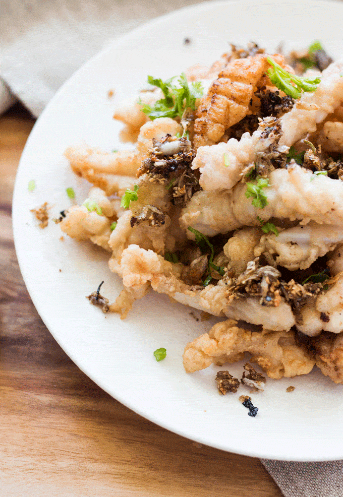 Salt and Pepper Squid on a white plate sprinkled with chopped cilantro