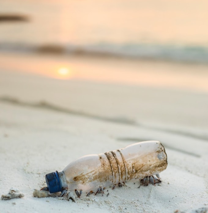 Plastic free challenge: plastic water bottle lying on beach
