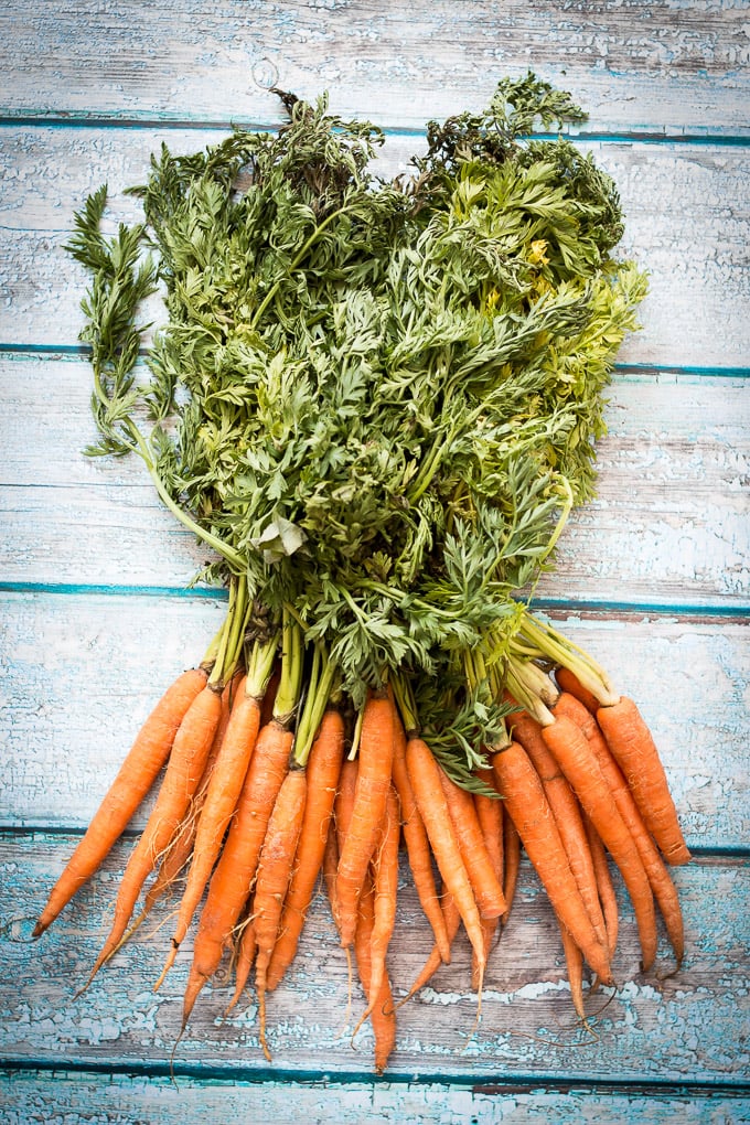 Dutch Carrots on a blue background