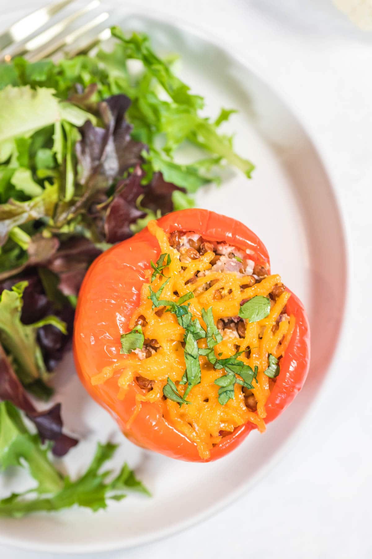 overhead shot of a red bell pepper containing a cauliflower and lentil mixture and topped with cheese. served with a simple side salad