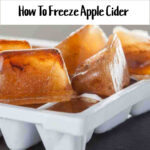 Frozen apple cider cubes in a white ice cube tray