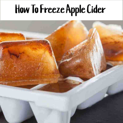 Can You Freeze Apple Cider And Apple Juice