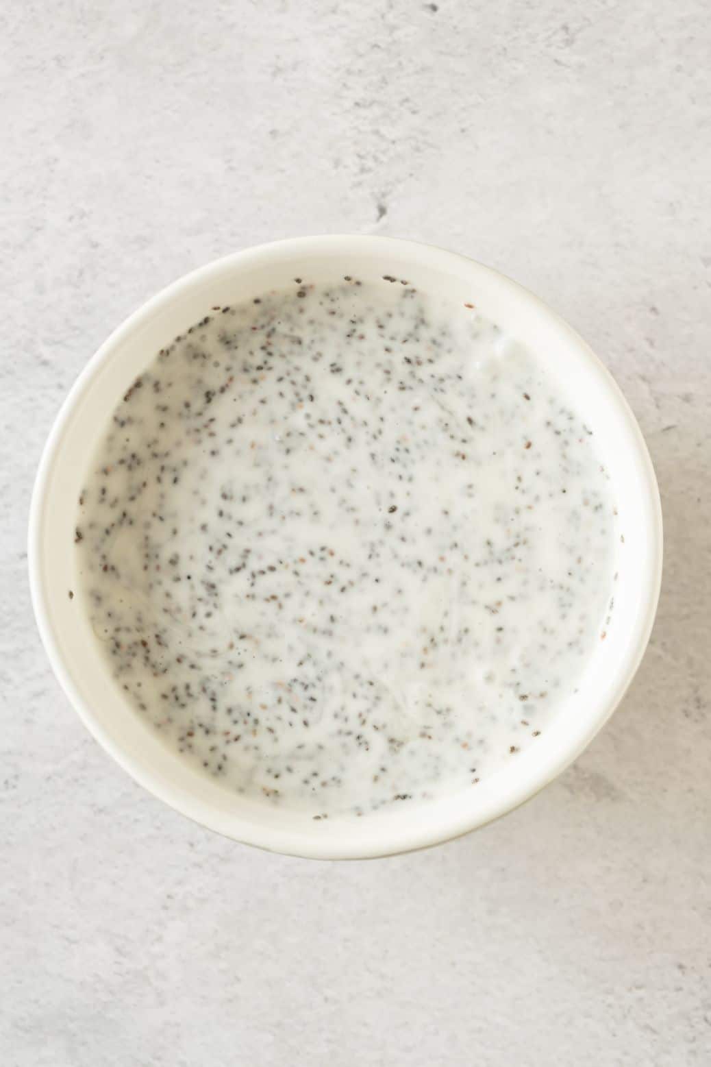 Chia seeds combined with coconut milk and honey to make a creamy pudding
