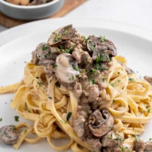 Mushroom and ground beef stroganoff